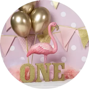 Flamingo Cake Smash Meisje roze fotoshoot Noord-Brabant Nederland fotograaf Eindhoven in Helmond