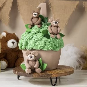 Cake Smash bearly one346 Hoe ervaart een baby een cake smash fotoshoot